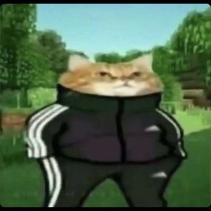 Meet your Posher, Sebastian